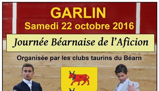 Garlin affiche