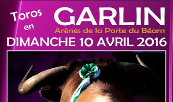 Garlin flyer png 1