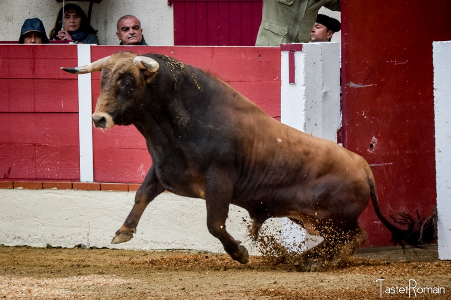 Garlin pedraza de yeltes