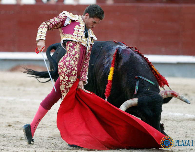 Gines marin cultura