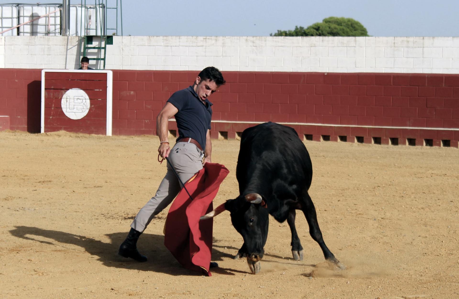 Imanol arriazu