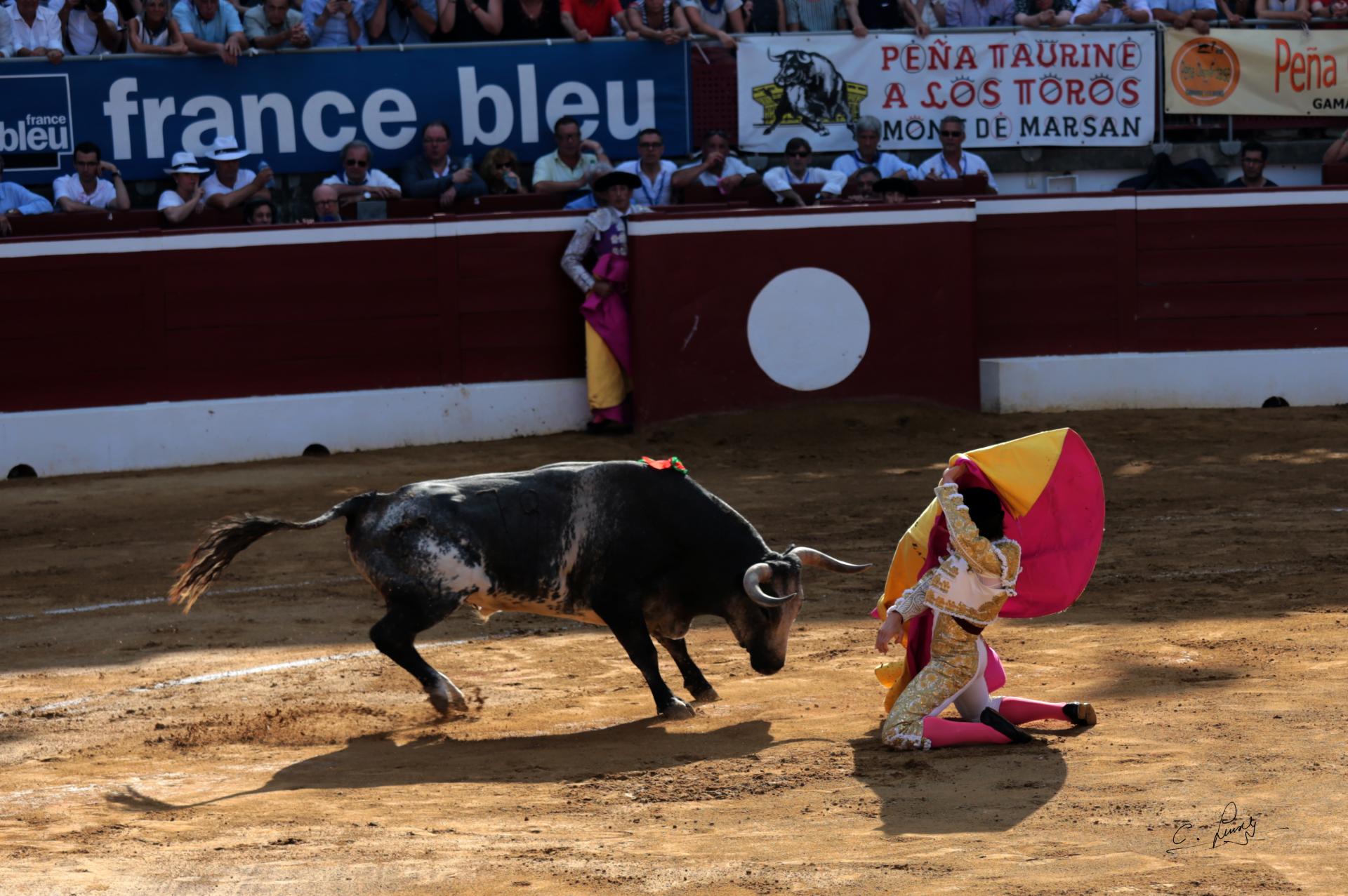 Alberto Lamelas puerta gayola