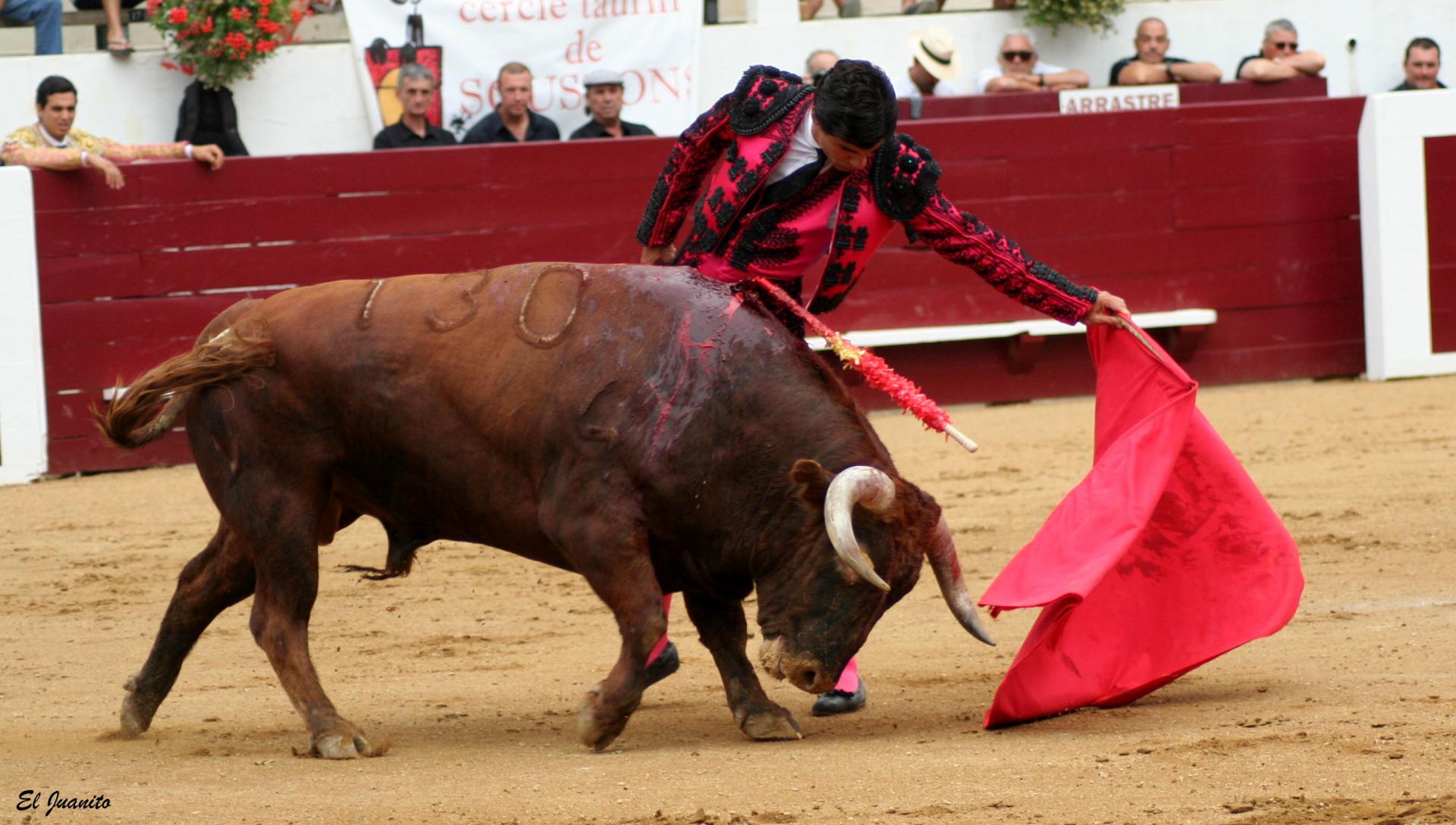 Pablo Aguado