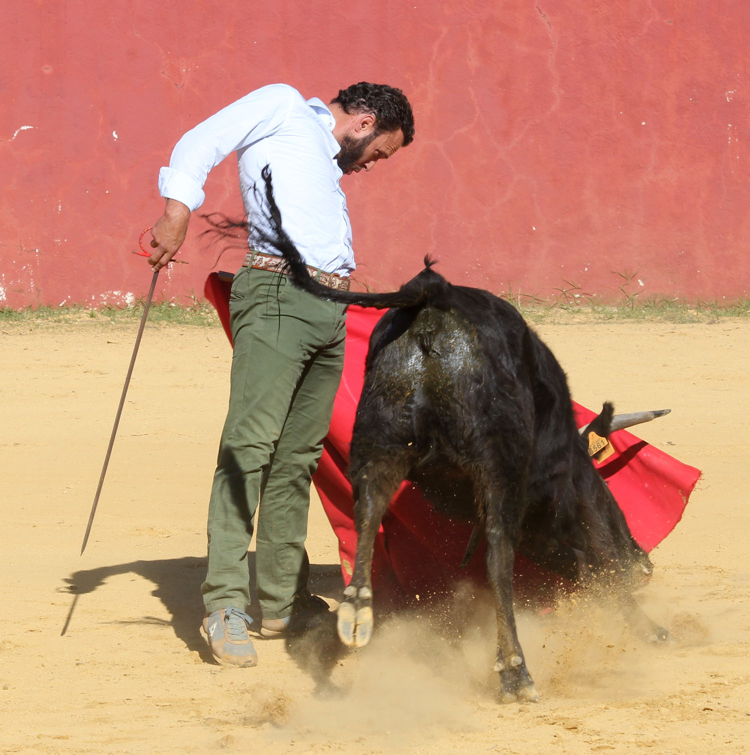 Antonio Ferrera en el campo