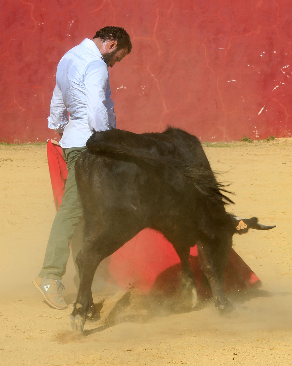 tentadero antonio ferrera