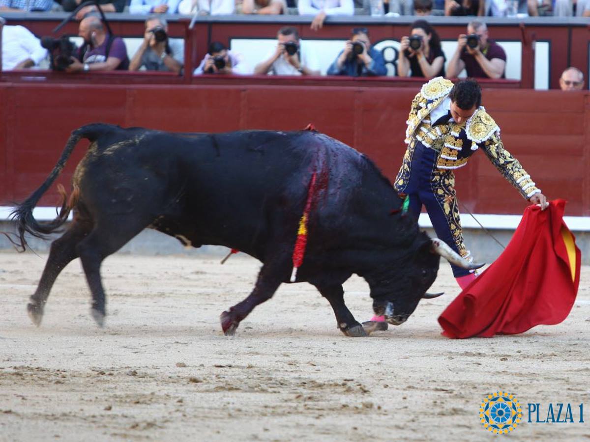 Joaquin galdos madrid 2018