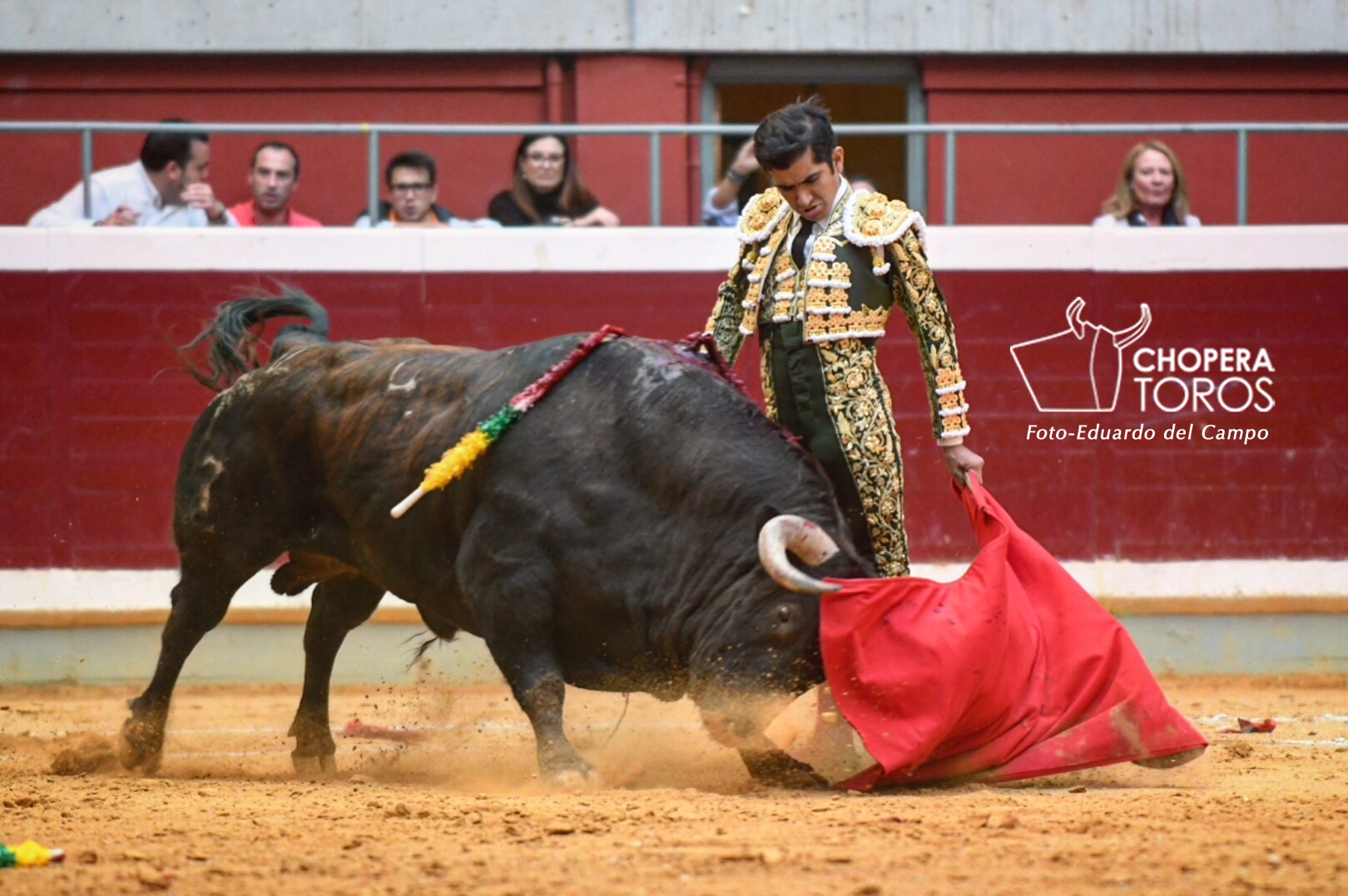 Joselito adame logrono