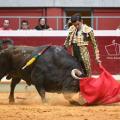 Joselito adame logrono