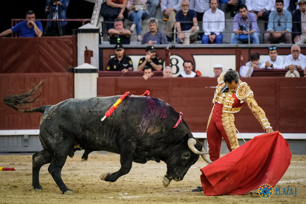 Luis bolivar las ventas