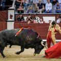 Luis bolivar las ventas