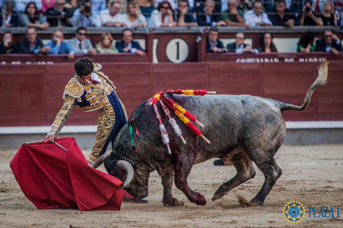 Madrid adame luis 5 octobre