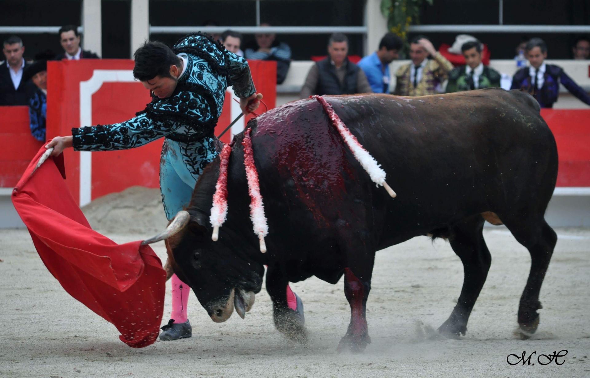 Manolo vanegas st martin de crau