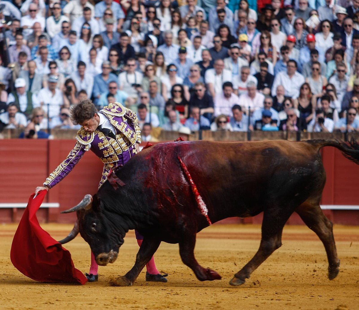 Manuel escribano sevilla 2018