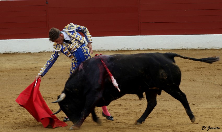 Manuel escribano vic fezensac 2018