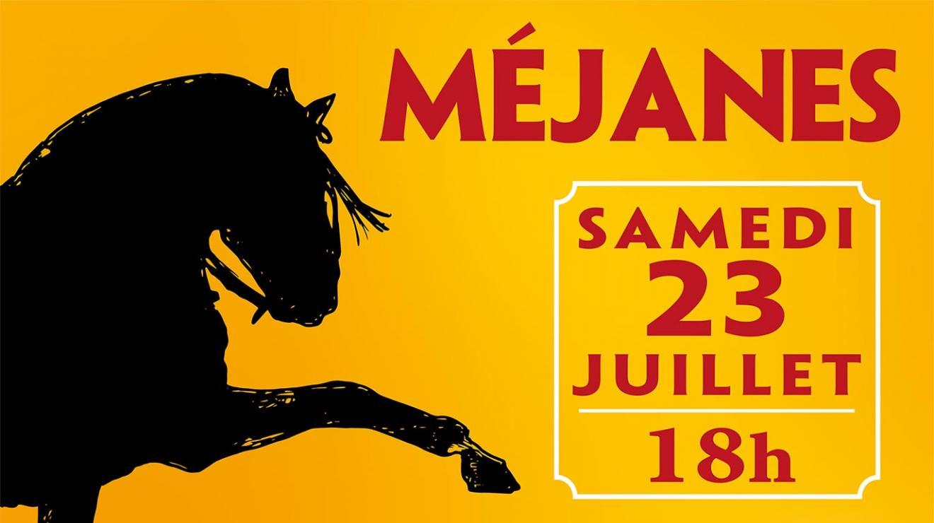 Mejanes affiche