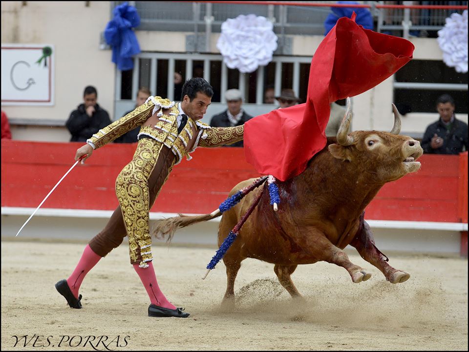 Morenito de aranda 2