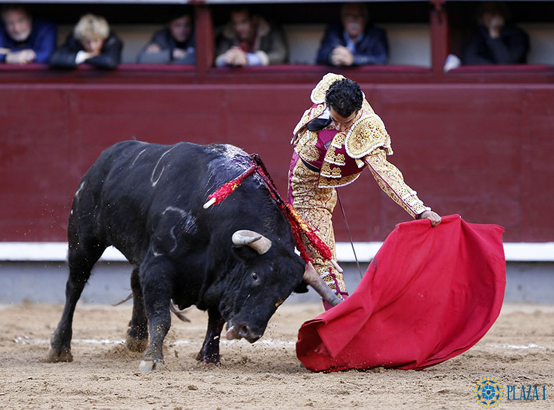 Morenito de aranda