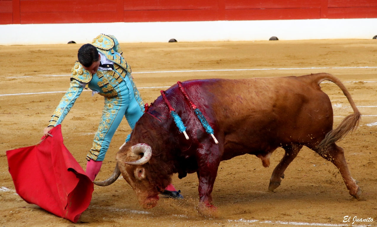 Octavio chacon mont de marsan 2018