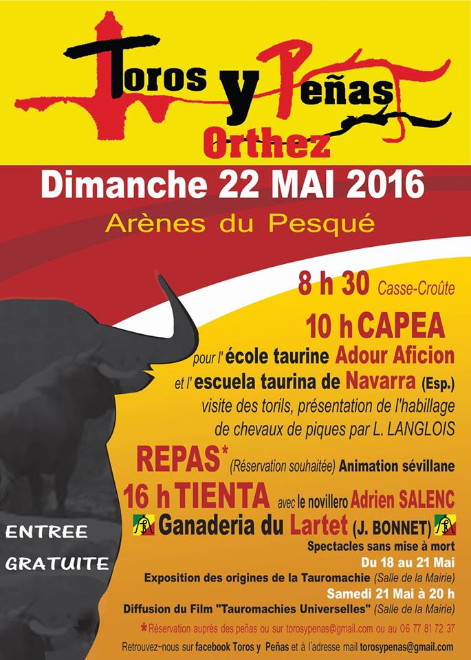 Orthez toros y penas