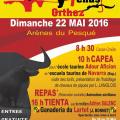 Orthez toros y penas