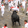 Pamplona encierro 7 juillet