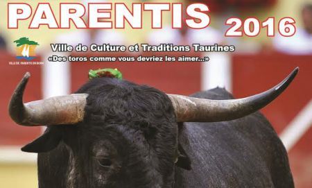 Parentis affiche 1