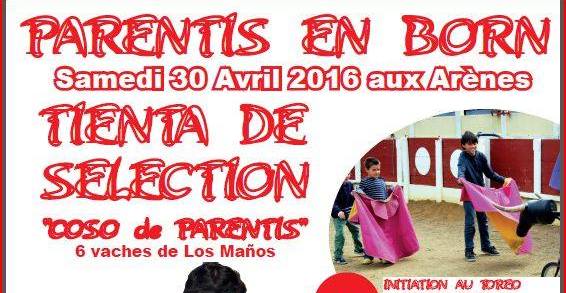 Parentis affiche