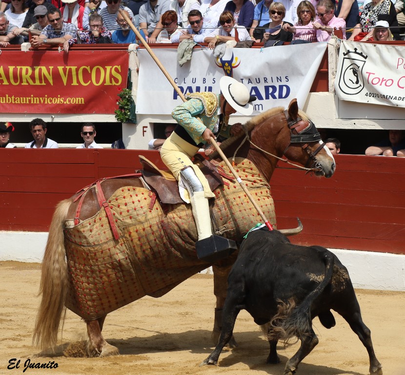 Toro de Yonnet