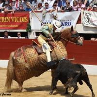 Toro de Yonnet