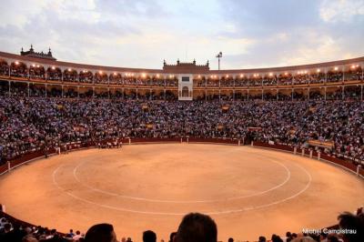 Plazamadrid1