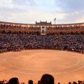 Plazamadrid1