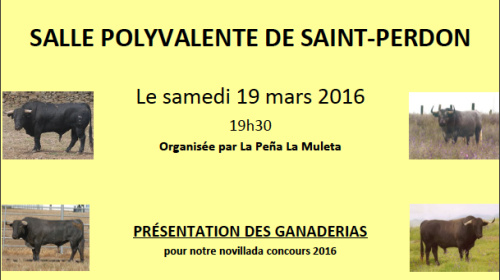 Pre sentation saint perdon affiche png