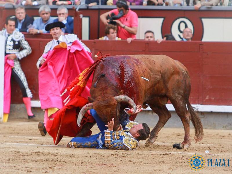 Rafaelillo las ventas 2018