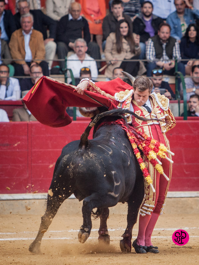 Roman collada zaragoza