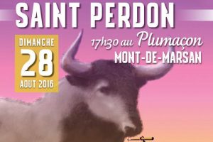 Saint perdon 1