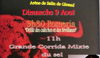 Salin de giraud affiche png