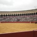 Sevilla 5