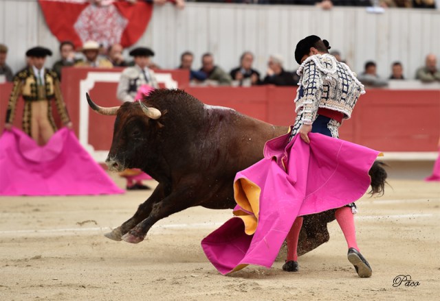 Torobravo el juli 1