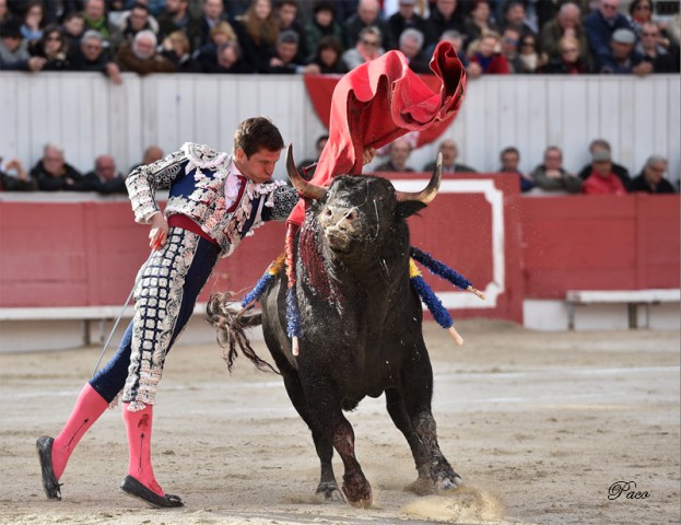 Torobravo el juli 2