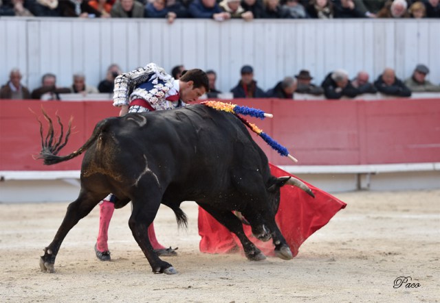 Torobravo el juli 3