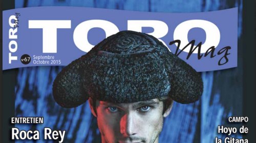 Toromag png 1