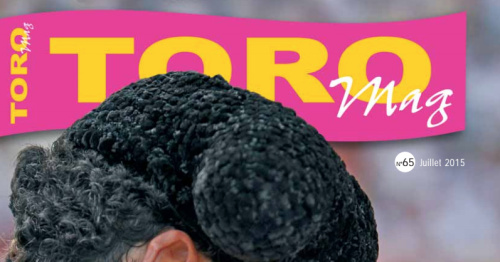 Toromag png