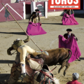 Toros 2022