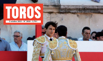 Toros est en kiosque png